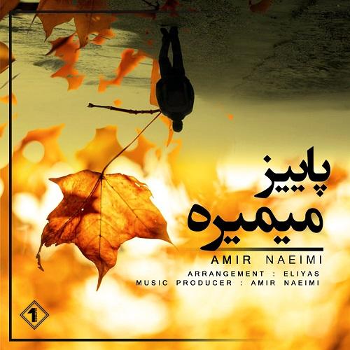 امیر نعیمی پاییزه میمیره